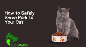 How to Safely Serve Pork to Your Cat