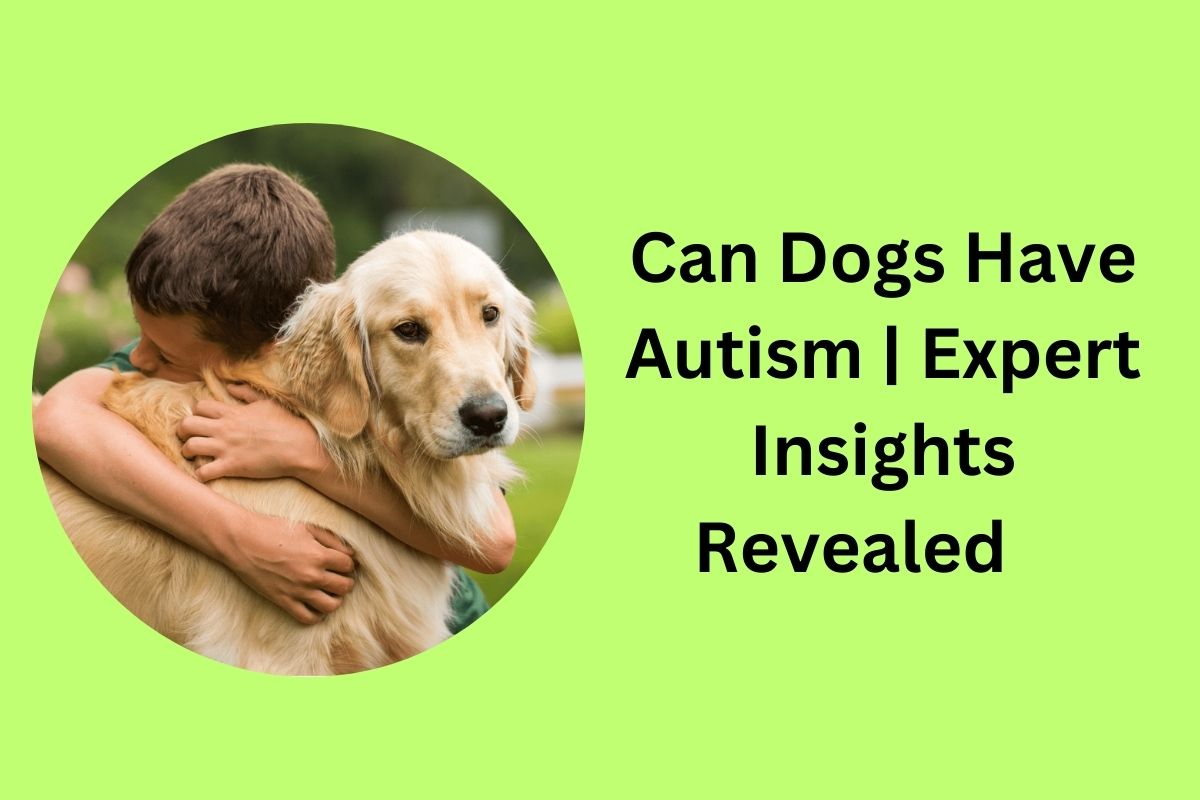 Can Dogs Have Autism