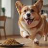 can dogs eat sesame seeds