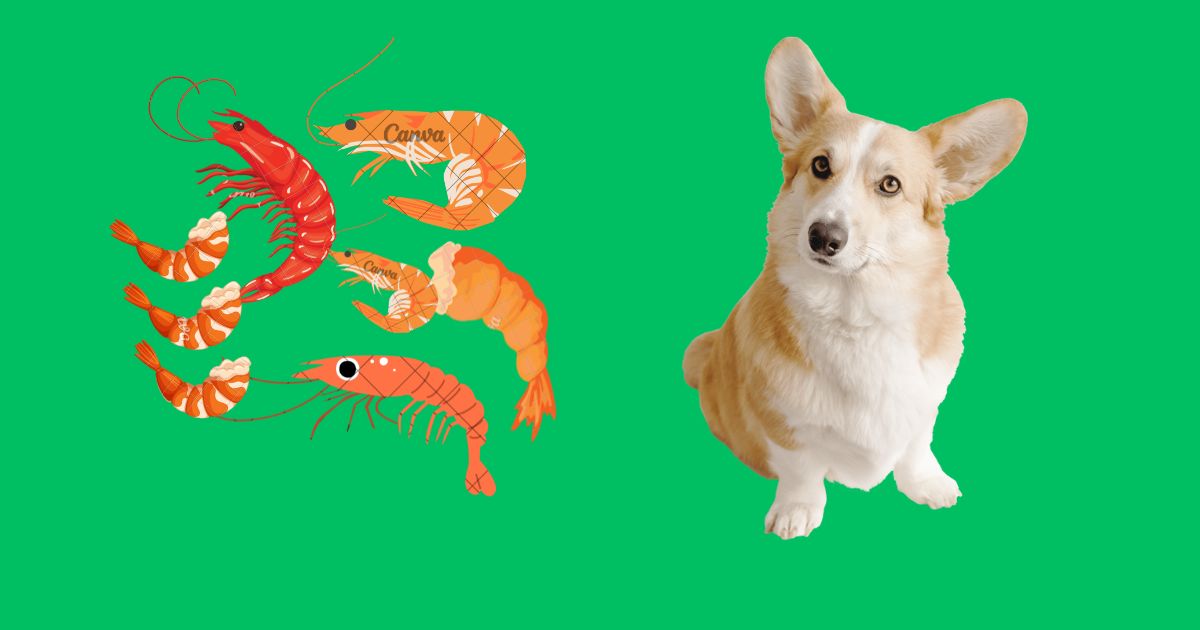 Can Dogs Eat Shrimp