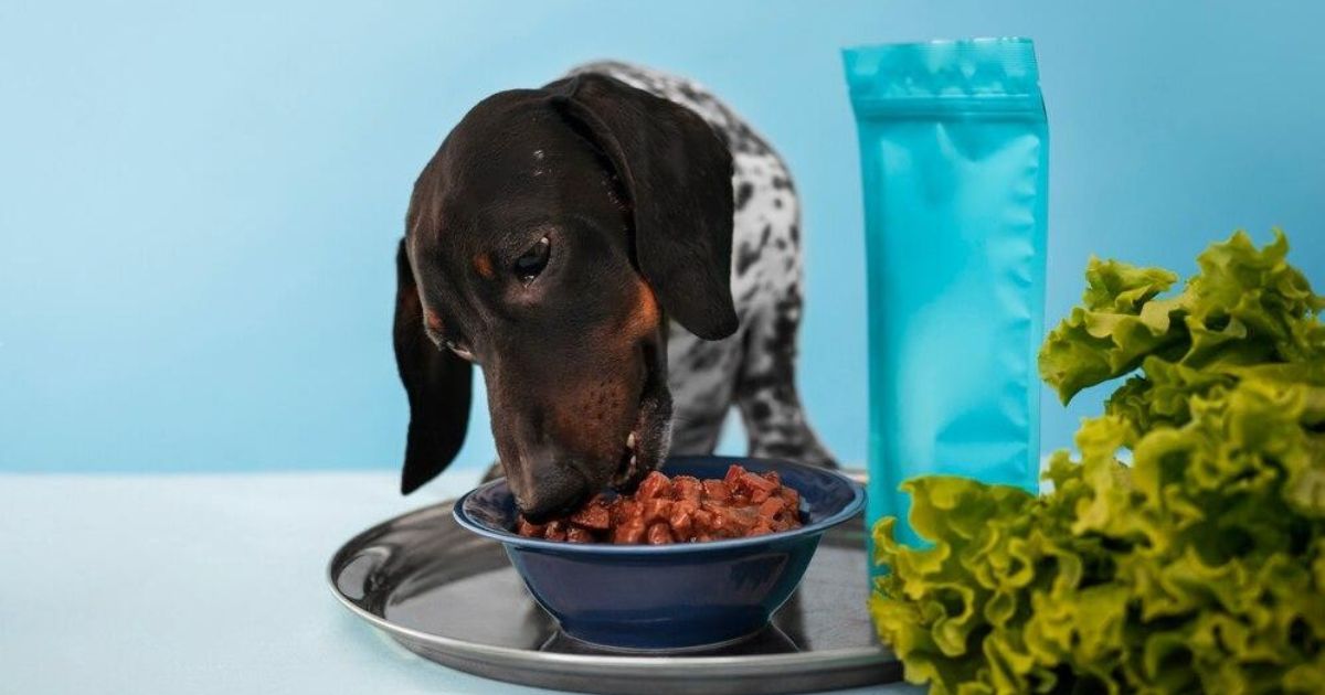 Top 7 Best Dog Foods