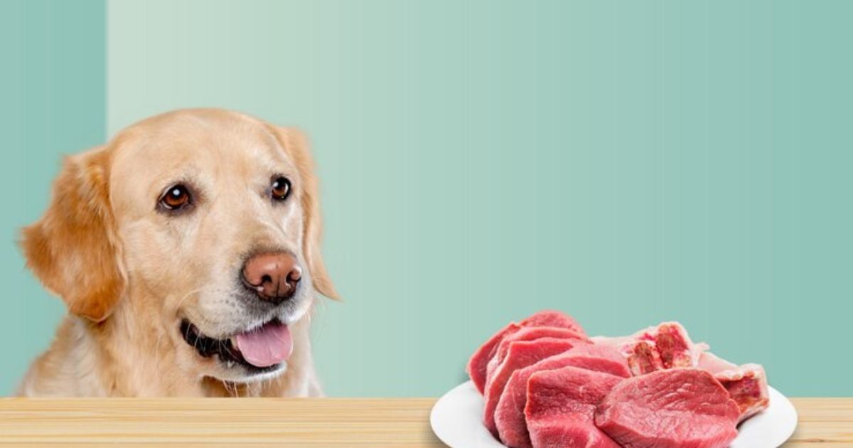 Can Dogs Eat Pork Bones