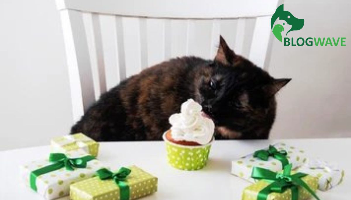 Can Cats Have Whipped Cream