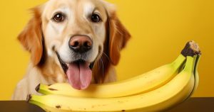 Can Dogs Eat Plantains