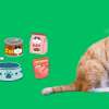 Top 7 Best Cat Foods