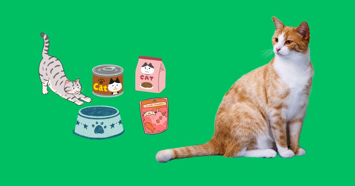 Top 7 Best Cat Foods