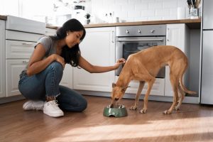 what household items can kill a dog instantly